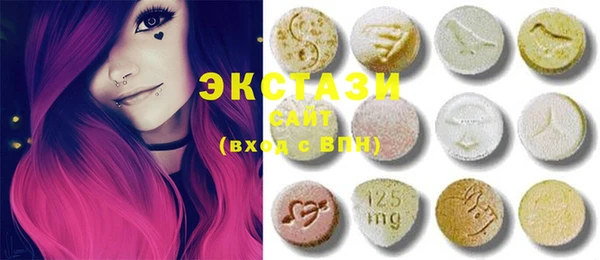 индика Краснотурьинск
