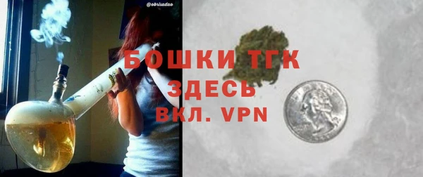 индика Краснотурьинск