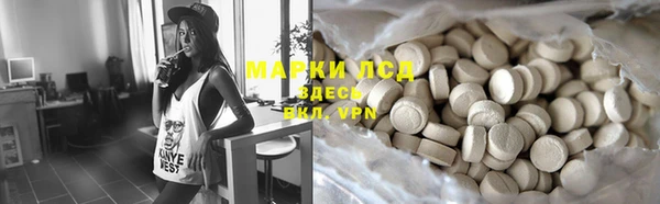 индика Краснотурьинск
