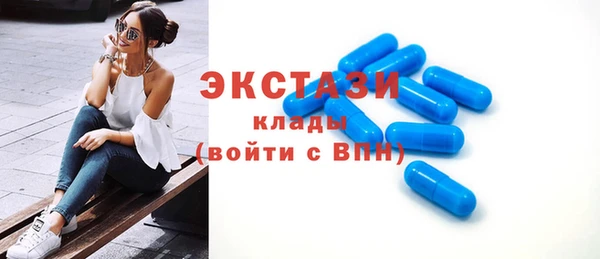 индика Краснотурьинск