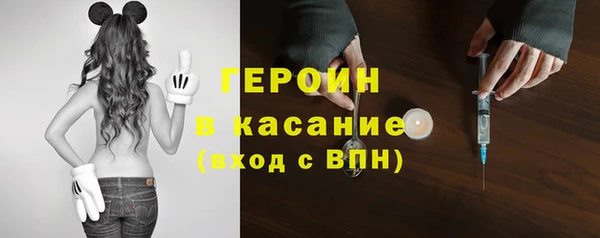 индика Краснотурьинск
