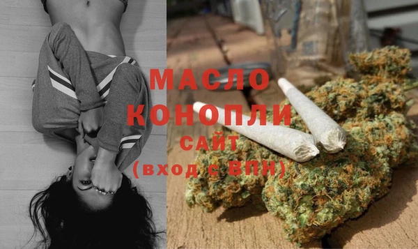 индика Краснотурьинск