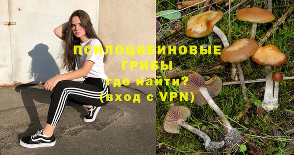 альфа пвп Краснослободск