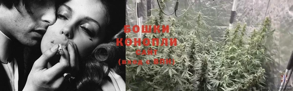 индика Краснотурьинск