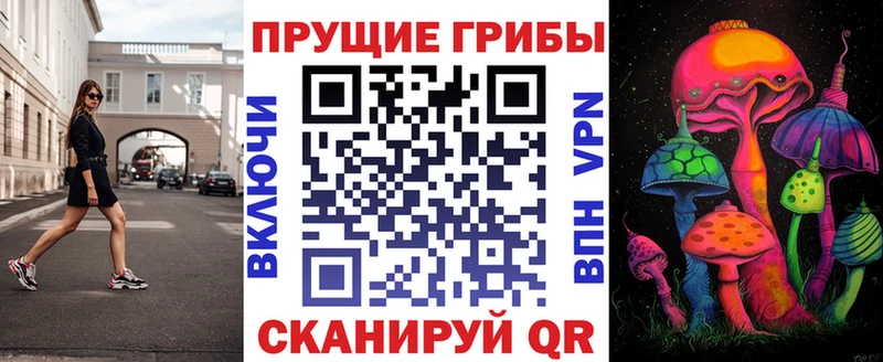 Галлюциногенные грибы GOLDEN TEACHER  Купить  Мостовской 